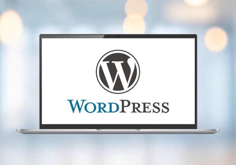 Custom WordPress Developement Olympia Web Designs